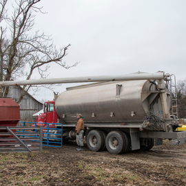 How Feed Vehicles Impact Disease Transmission: Findings from Recent Research