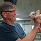 Seeing Is Believing: How Opening Up a Pig Farm Educates Public, Future Ag