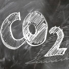 Understanding Insets and Offsets in Carbon Markets