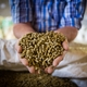 Possibilities Abound for Reducing Environmental Footprint Through Feed