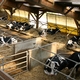 Dairy Cows Recycle Valuable Nutrients in US Agricultural Byproduct Feeds